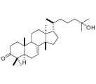 25-hydroxy-7tirucallonẻw\