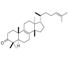 Tirucallone の化学構造式
