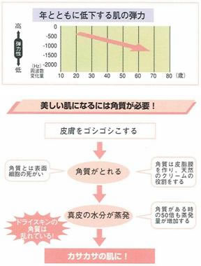 C[W摜